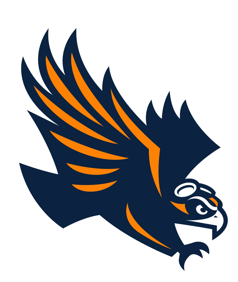 Tennessee-Martin Skyhawks 2020-Pres Secondary Logo iron on transfers for T-shirts